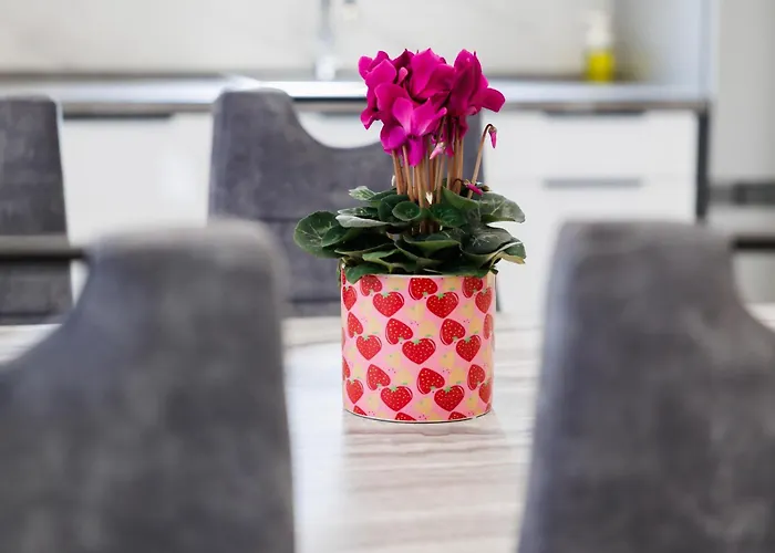 Apartment Three-bedroom Dina *