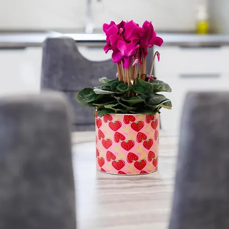 Lejlighed Three-bedroom Dina *